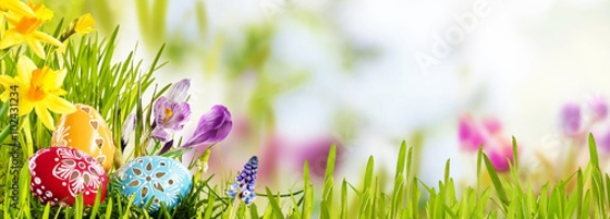 Picture of 102431234