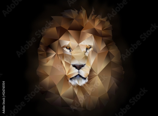 Picture of 126765154