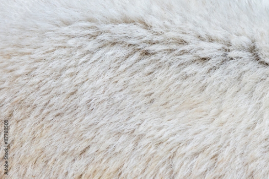 Picture of 117788500