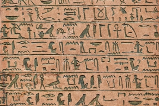 Picture of 154801153