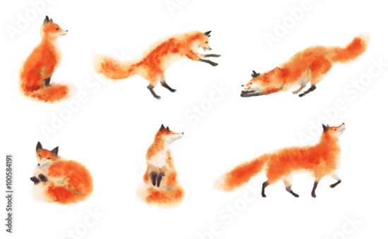 Picture of 100584191