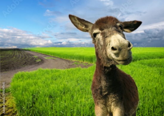 Picture of 111090141