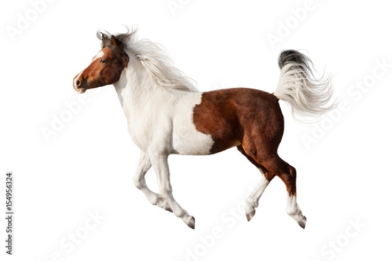 Picture of 154956324