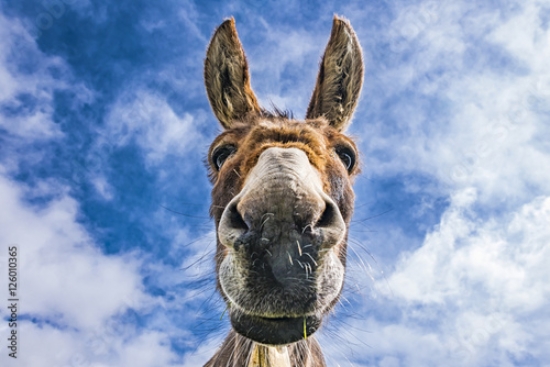 Picture of 126010365