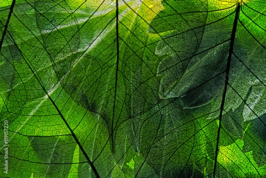 Picture of 119157220