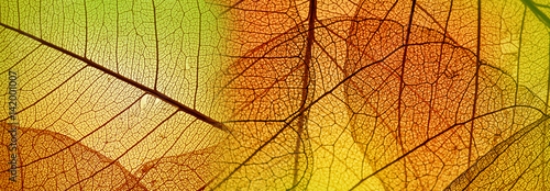 Picture of 142001007