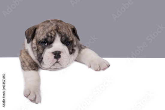 Picture of 133521850