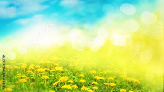 Picture of 132696779