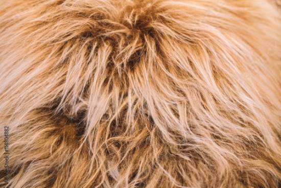 Picture of 114804882