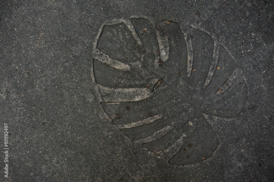 Picture of 101192497