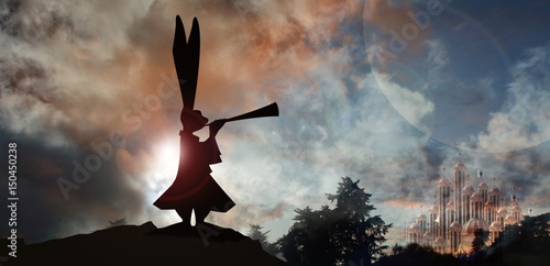 Picture of 150450238