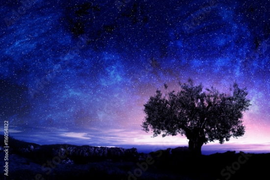 Picture of 116054822