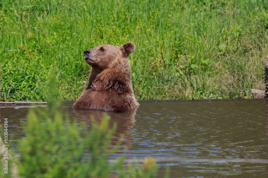 Picture of 100844984