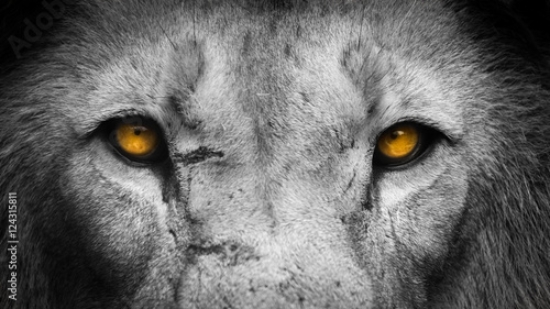 Picture of 124315811