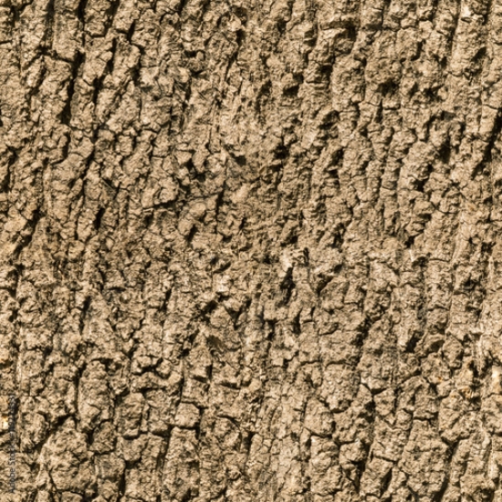 Picture of 119274331