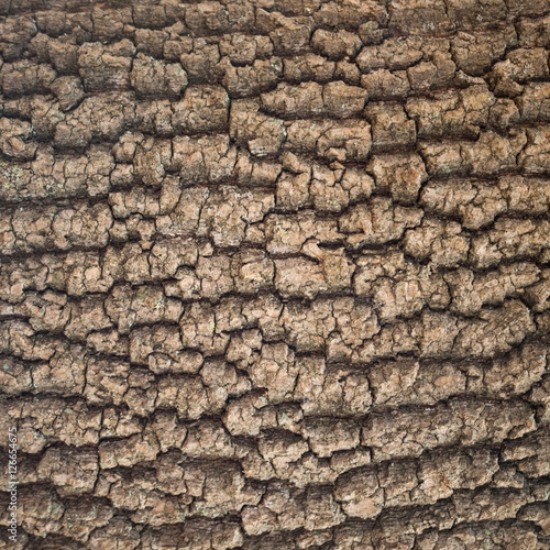 Picture of 126654675