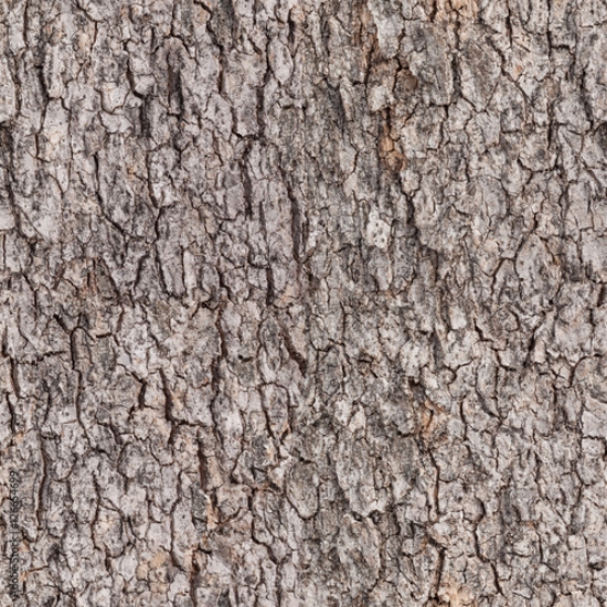 Picture of 126654699