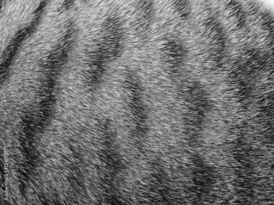 Picture of 124013871