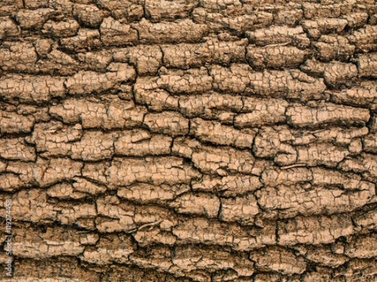 Picture of 119274458