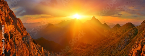 Picture of 115081788