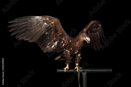 Picture of 120540967