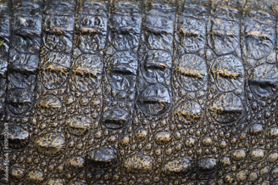 Picture of 109022069