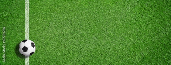 Picture of 107239289