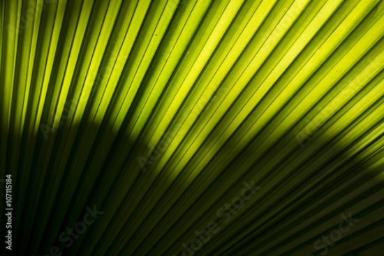 Picture of 107115184