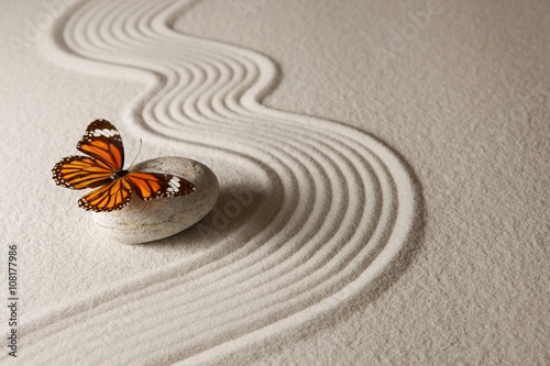 Picture of 108177986