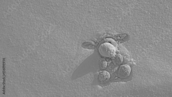 Picture of 136098934