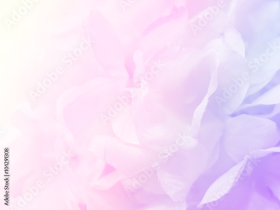 Picture of 104291308