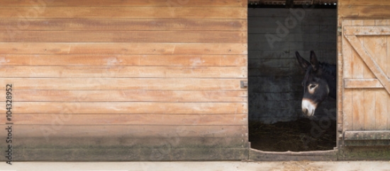 Picture of 104328952