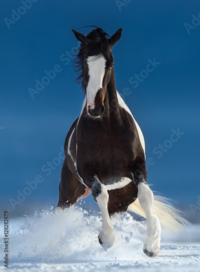 Picture of 128282679