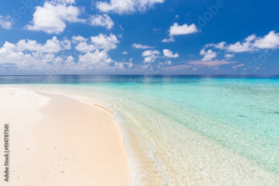 Picture of 104787561