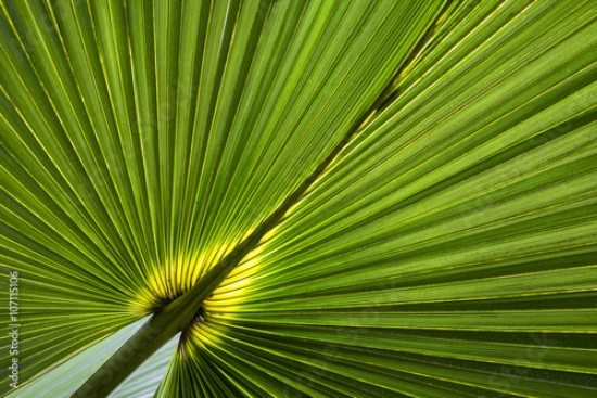 Picture of 107115106