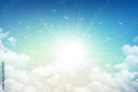 Picture of 137179377