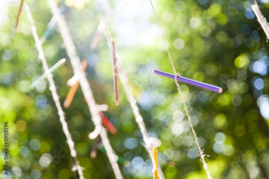 Picture of 119119296