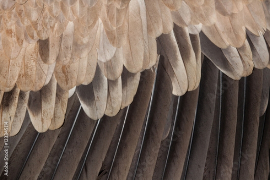 Picture of 123345114