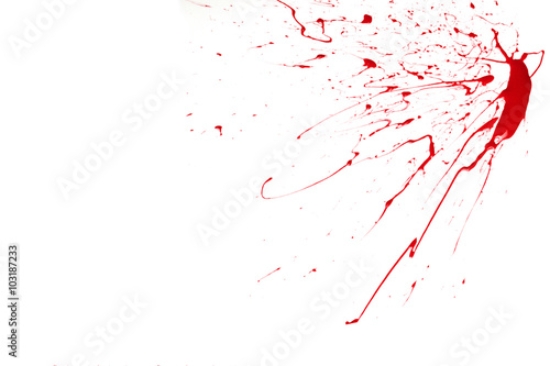 Picture of 103187233