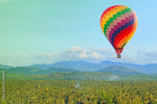 Picture of 113898681