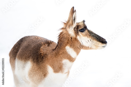 Picture of 122200133