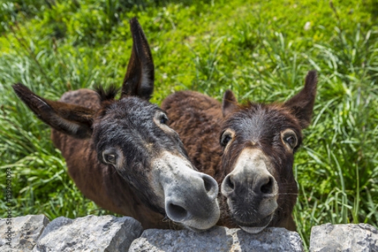 Picture of 139962093