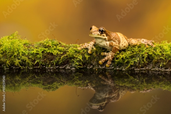 Picture of 100259540