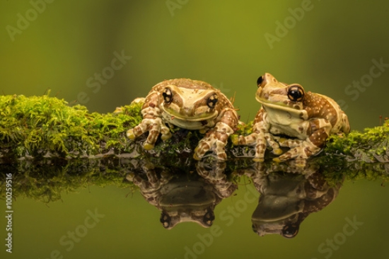 Picture of 100259516