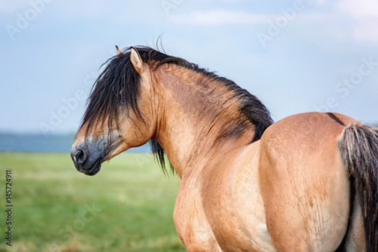 Picture of 145724911