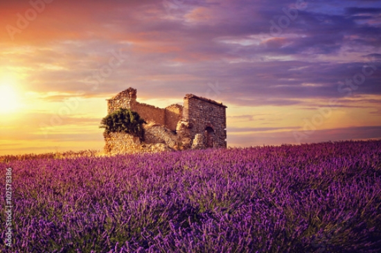 Picture of 102578386