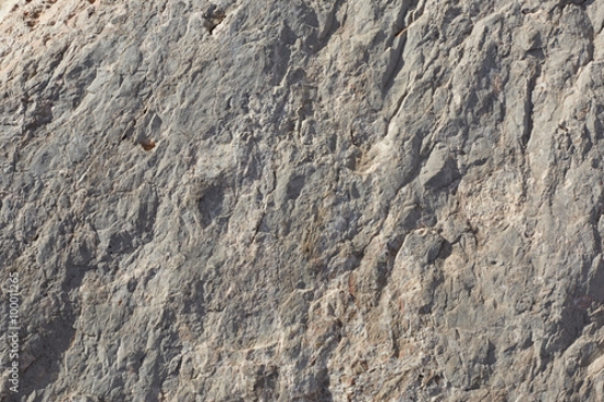 Picture of 100011265