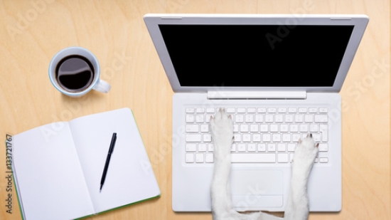 Picture of 133721767