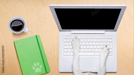 Picture of 133721777