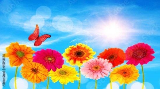 Picture of 145913575